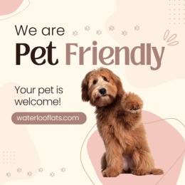 We welcome your pet family